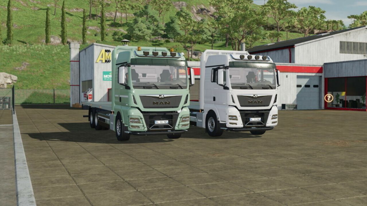 MAN TGX 26.640 Platform