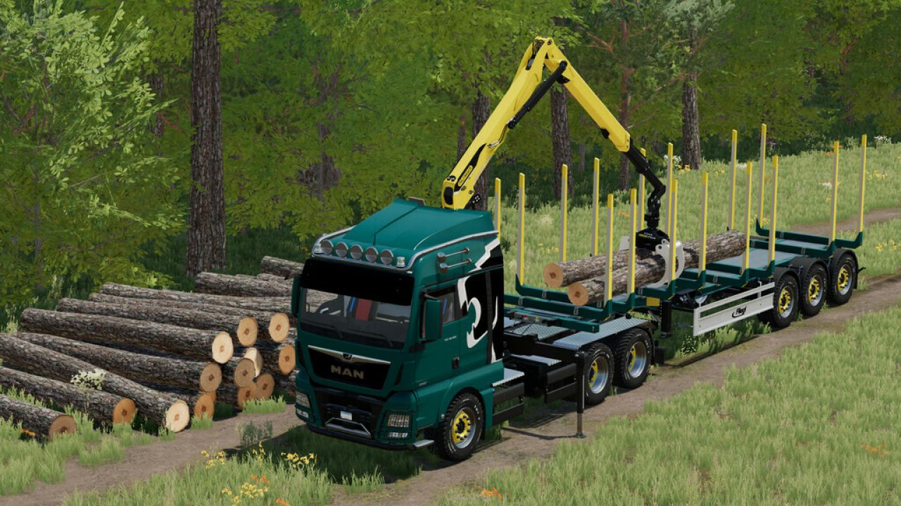 Semirimorchio forestale MAN TGX