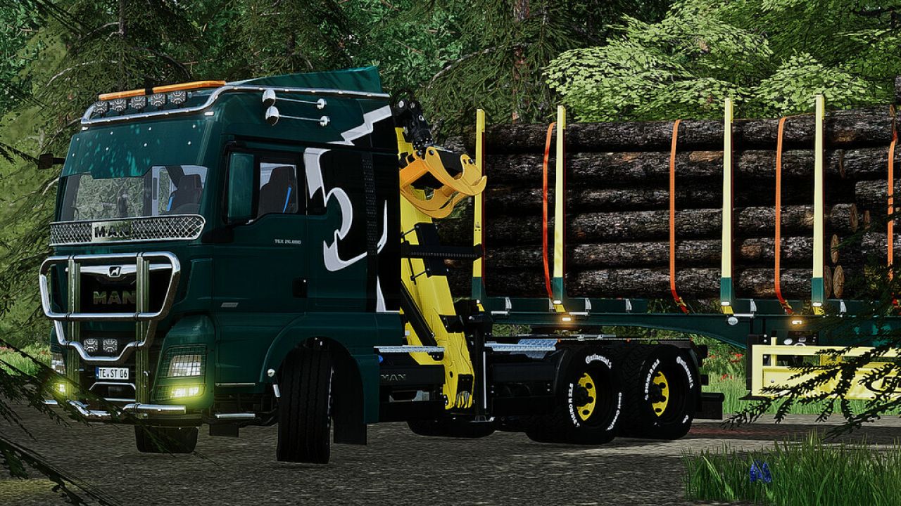 Semirimorchio forestale MAN TGX