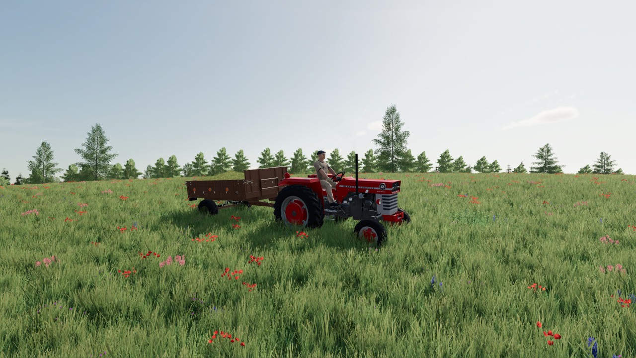 Massey Ferguson 1x5