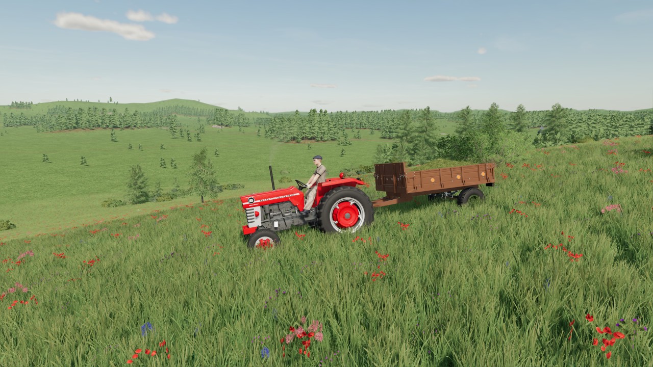 Massey Ferguson 1x5