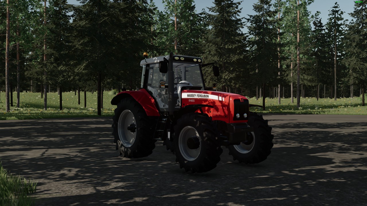 Massey Ferguson 6460-80