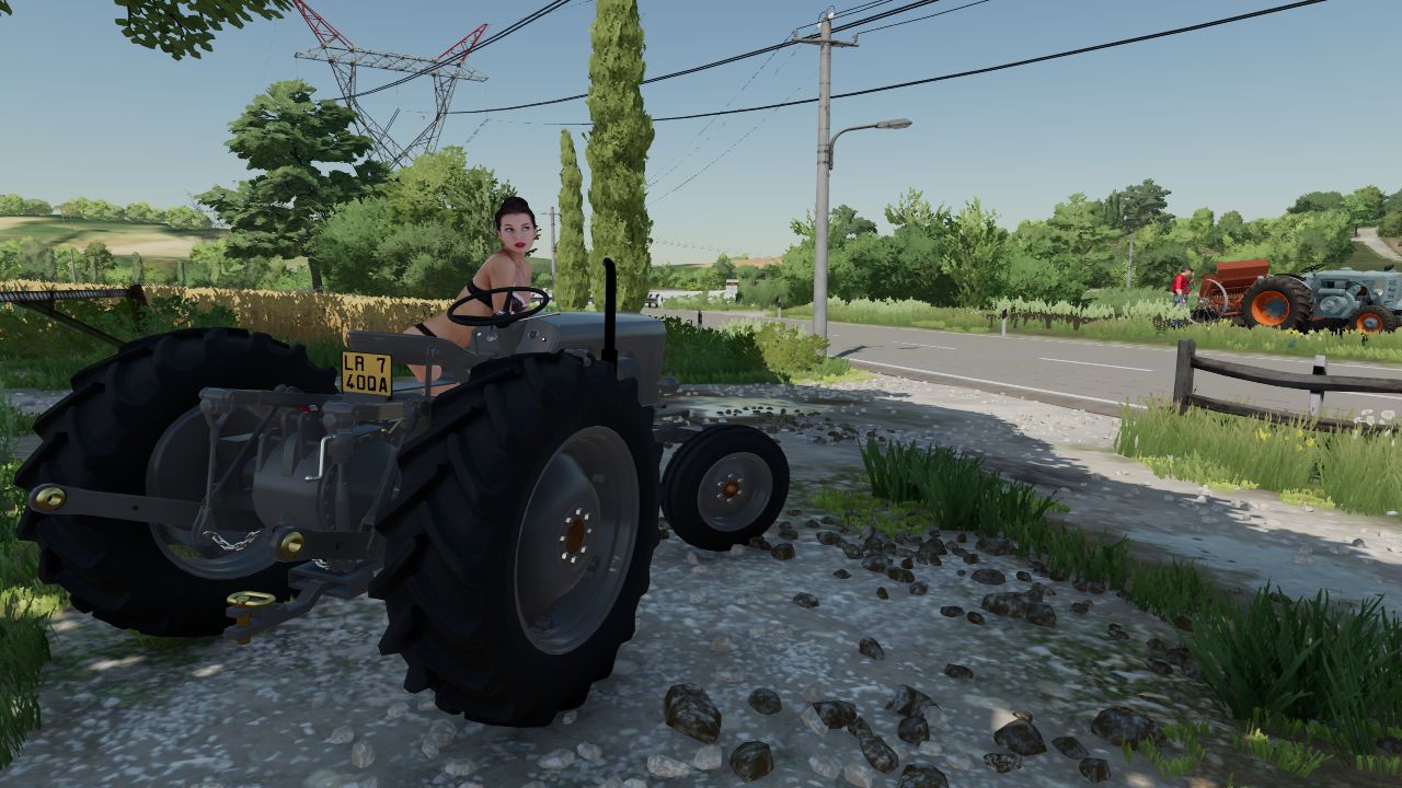 Massey Ferguson TE20