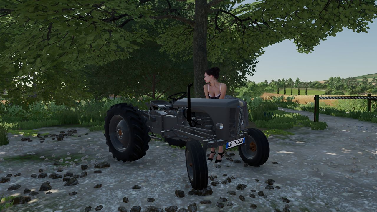 Massey Ferguson TE20
