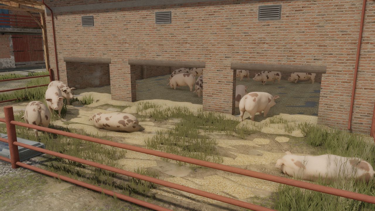 Medium-sized pigsty