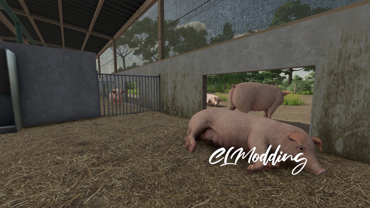 Modern Piggery