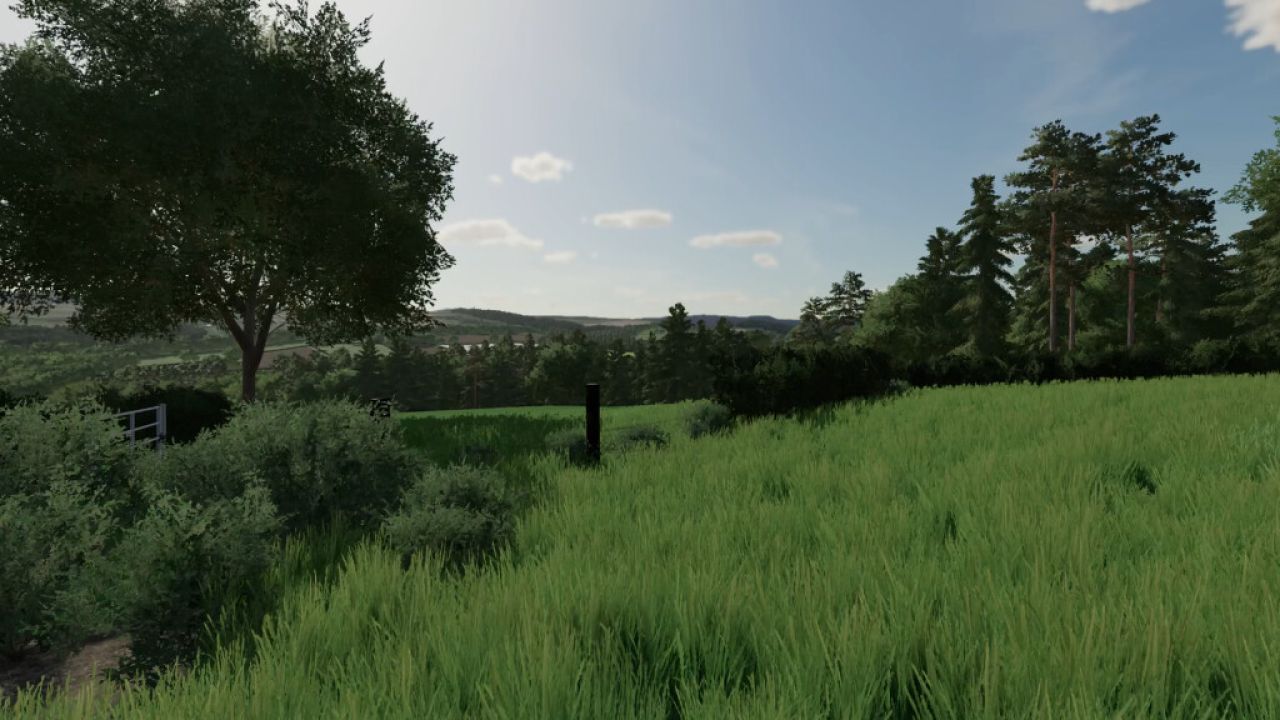 Moos Tal