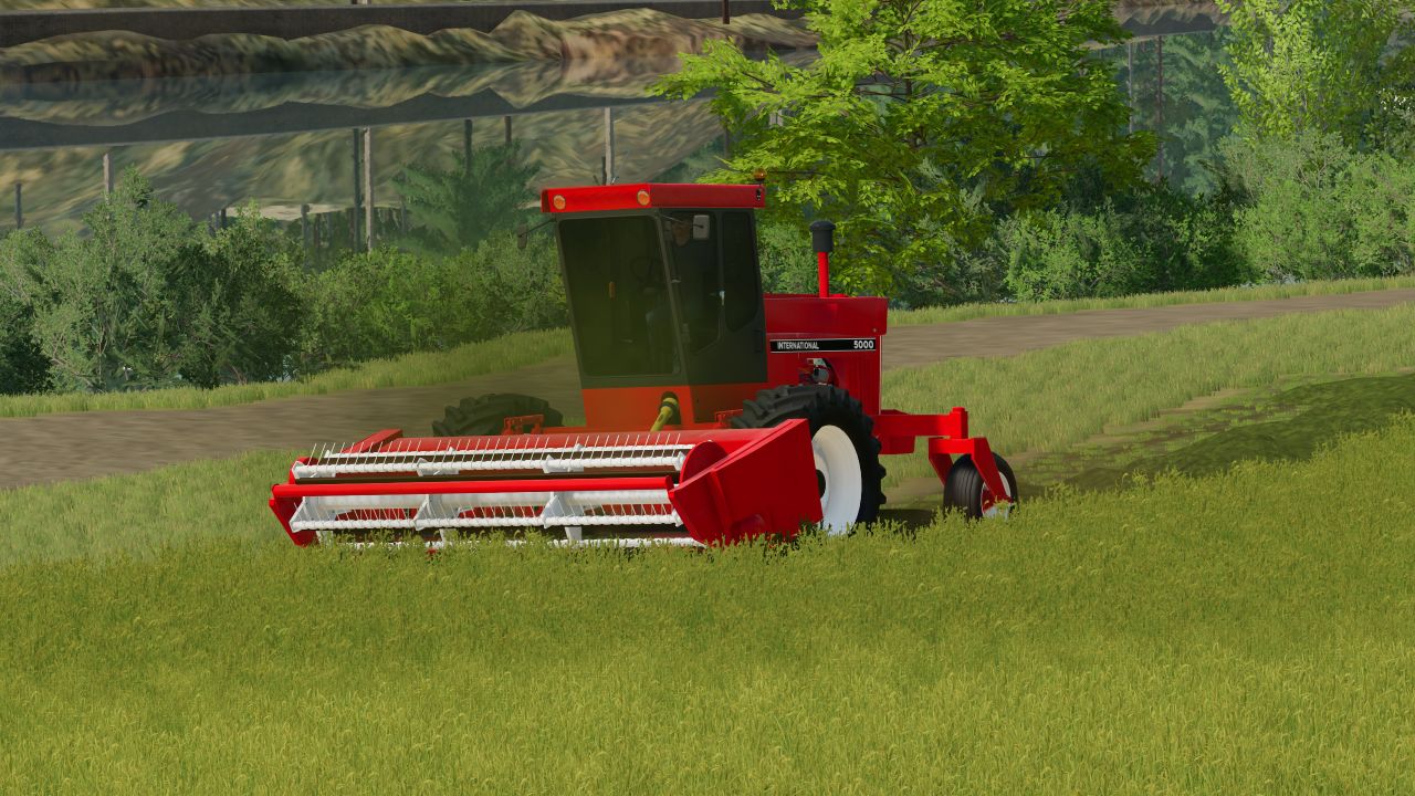Mower-swather International