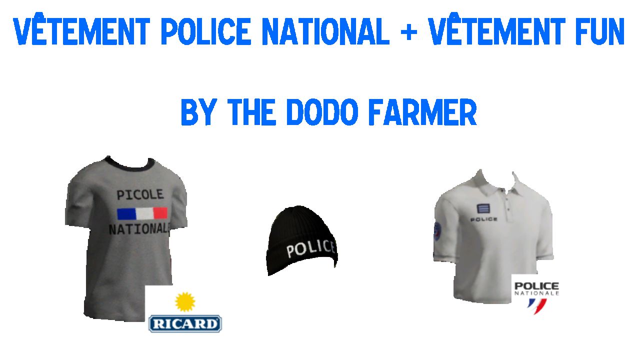 Tenue Police Nationale + Vêtement Fun