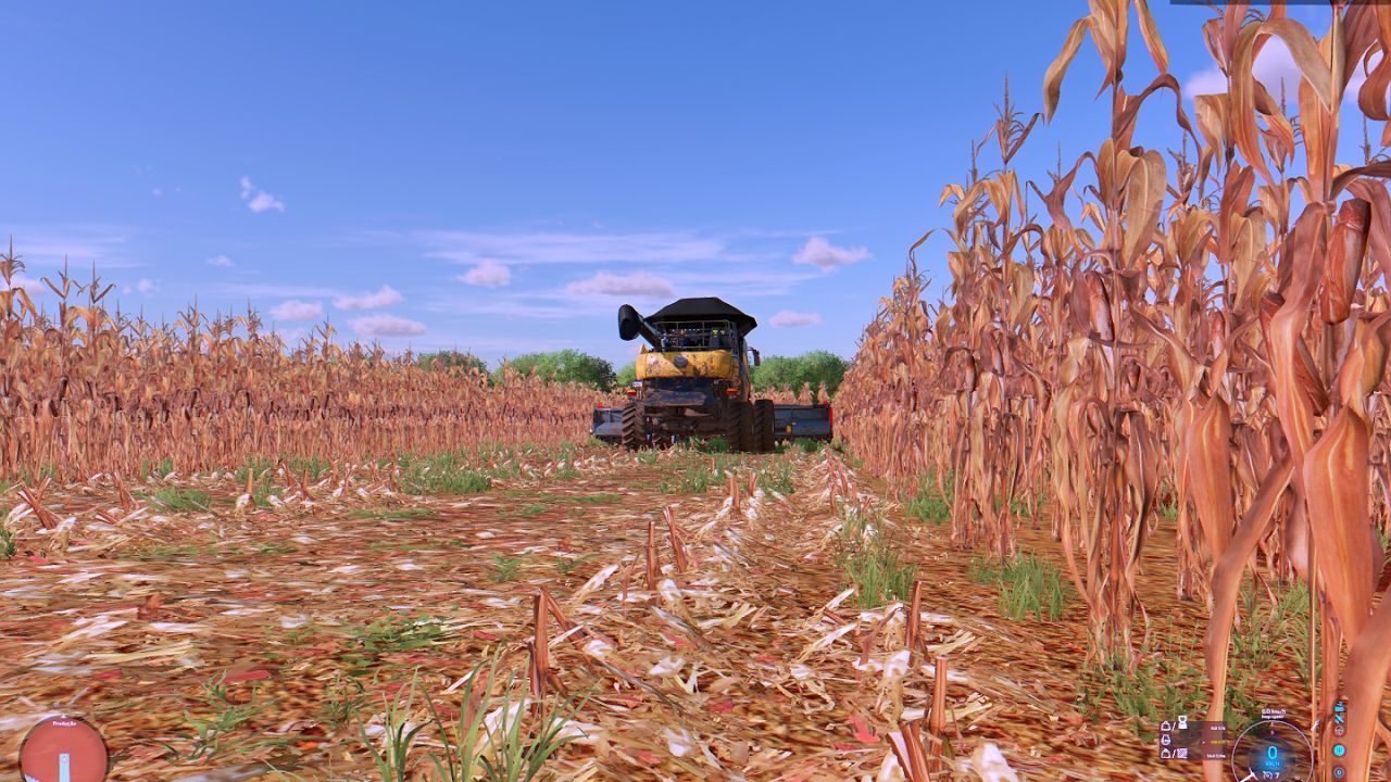 New corn texture with more real effects