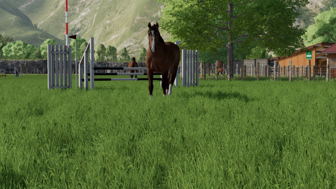 Hindernisse Pferdesport (Prefab)