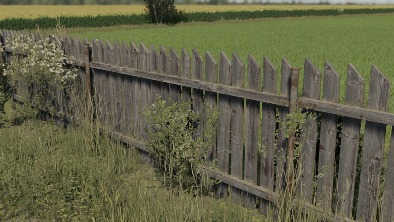 Old Fence And Gate