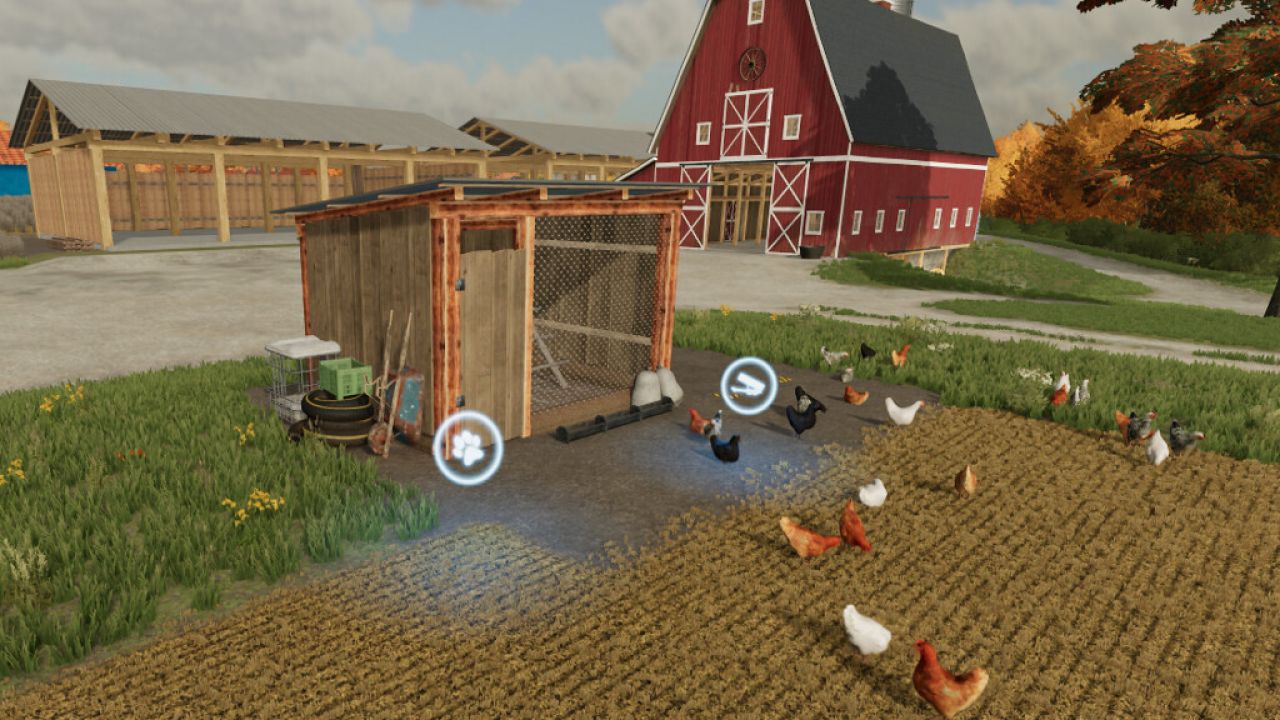 Open Chicken Coop