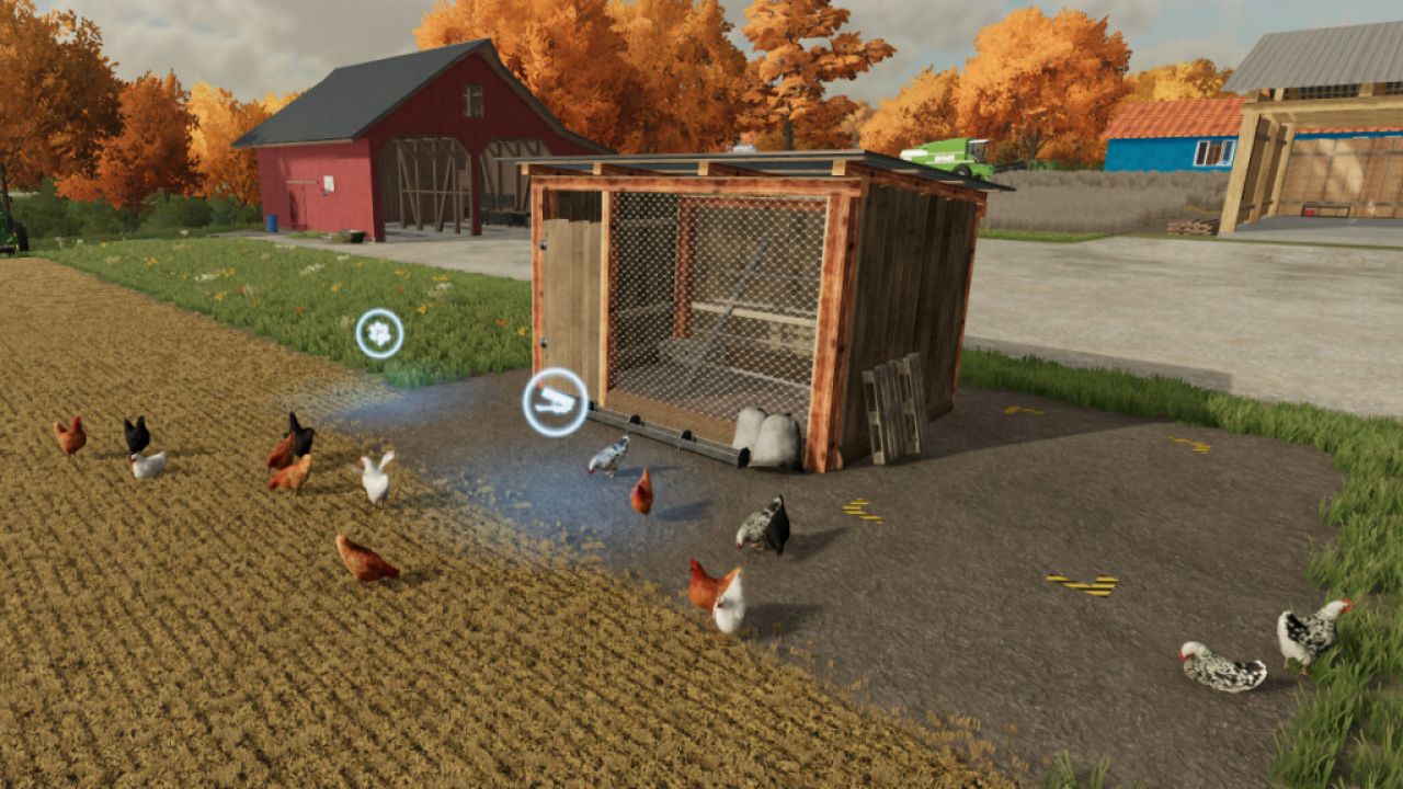 Open Chicken Coop