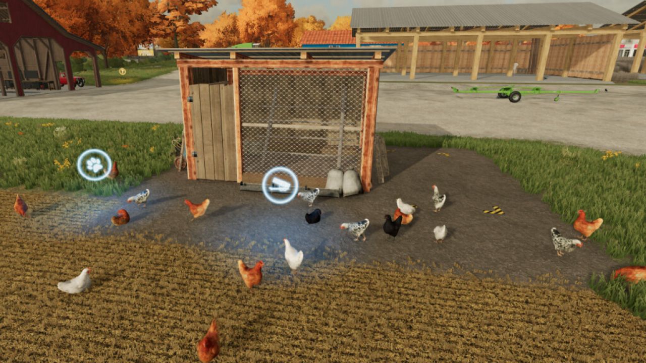 Open Chicken Coop