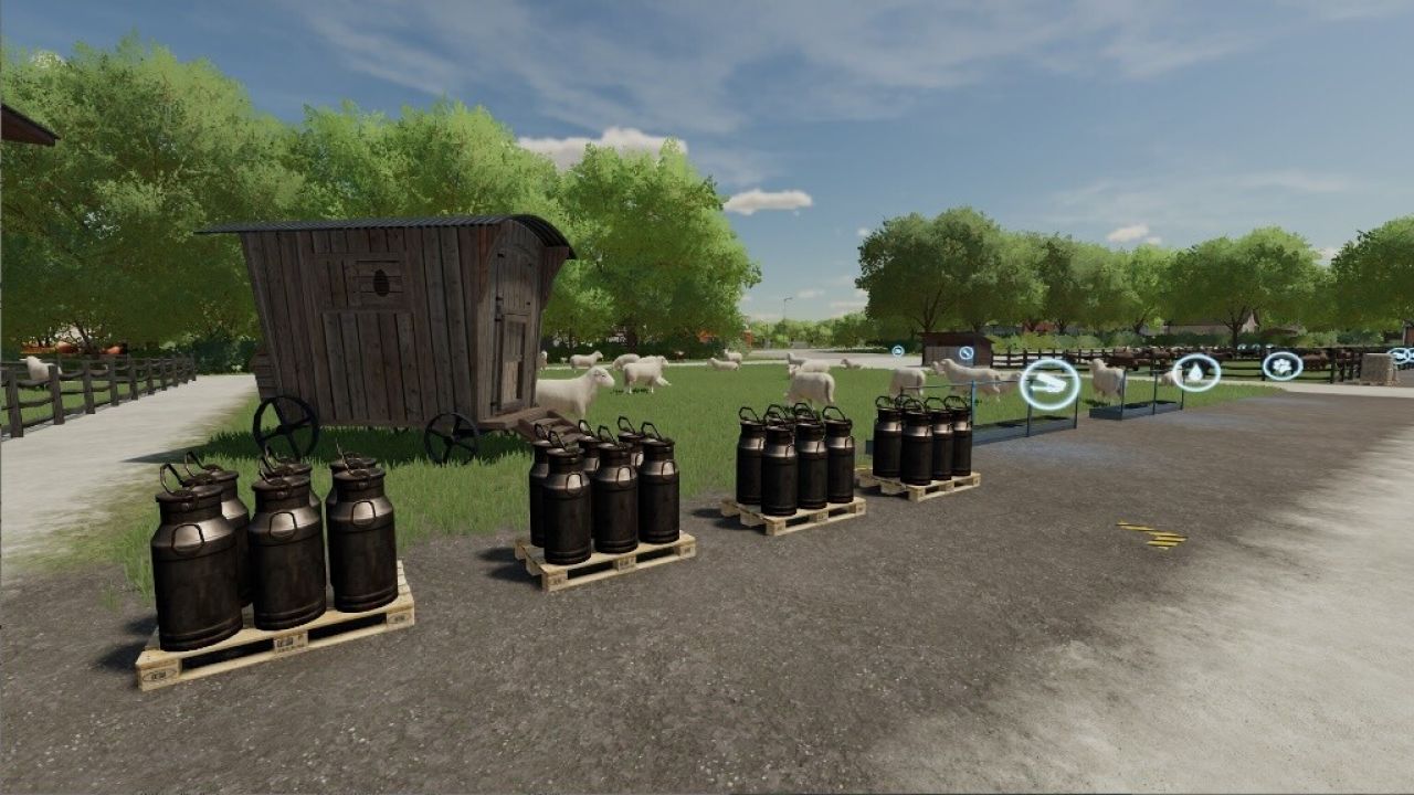 Open Pastures For Milk And Wool Sheeps