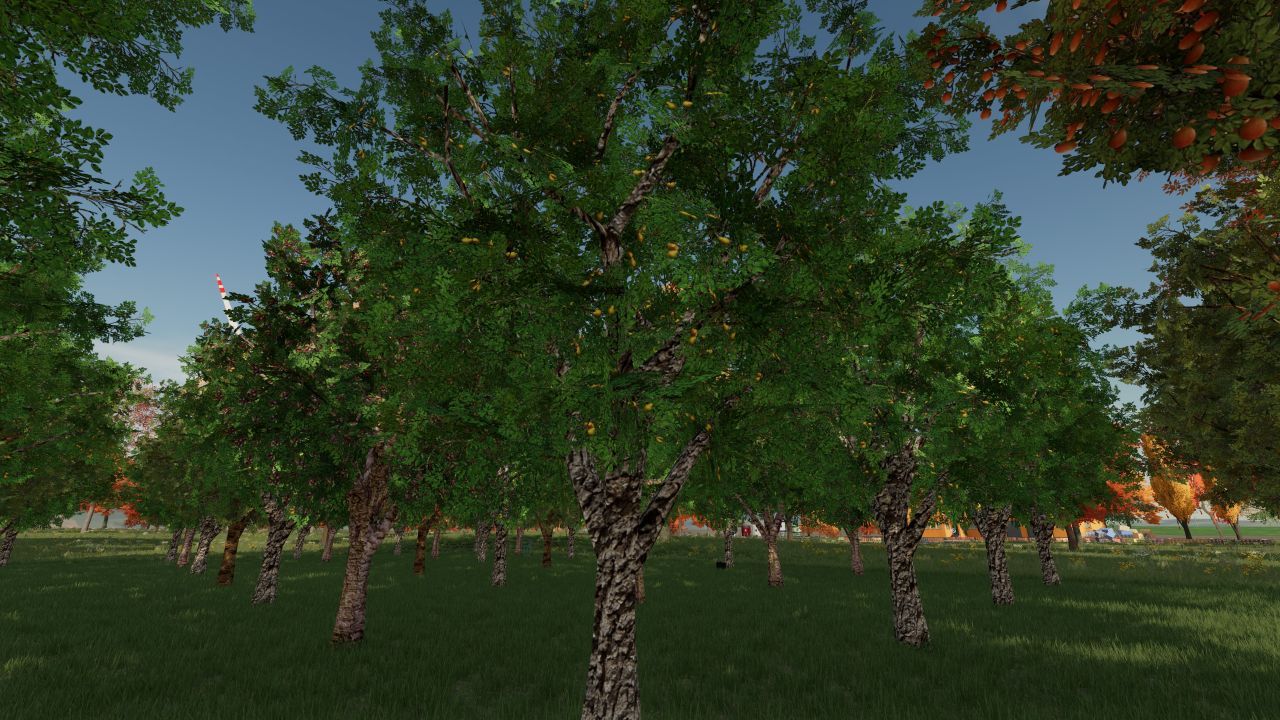 Vergers Fruits