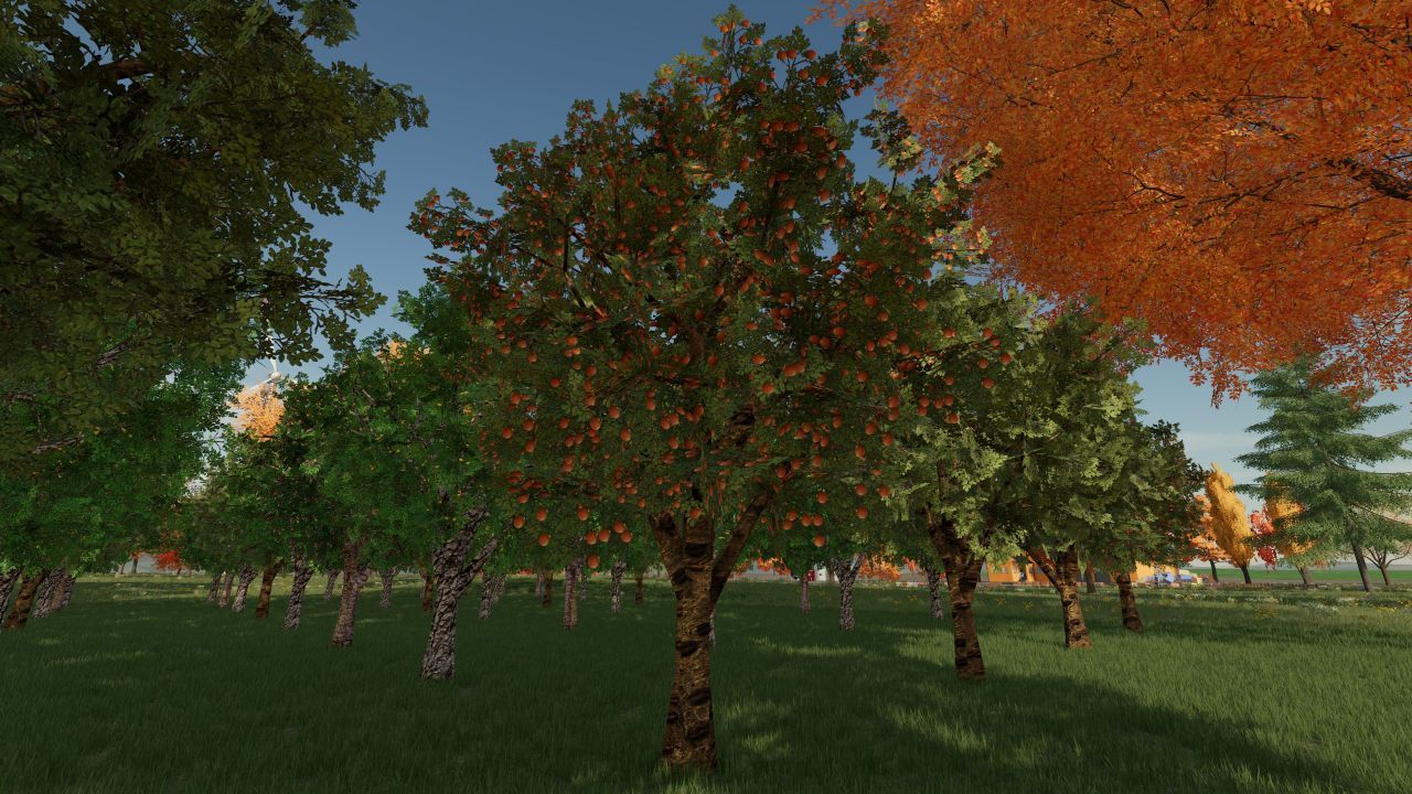 Vergers Fruits