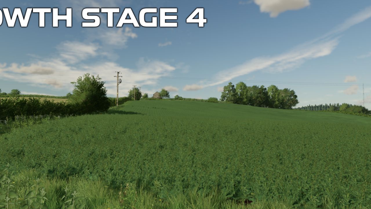 OSR-/Raps-Erntetexturen