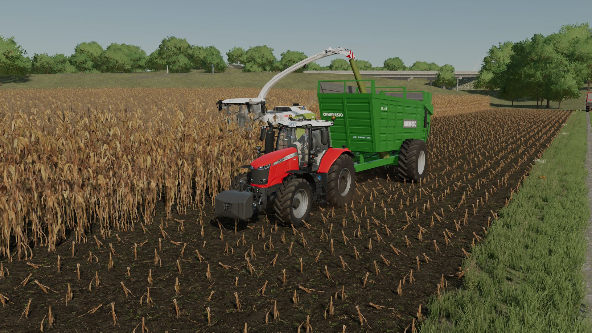 Pack Canavesio M40