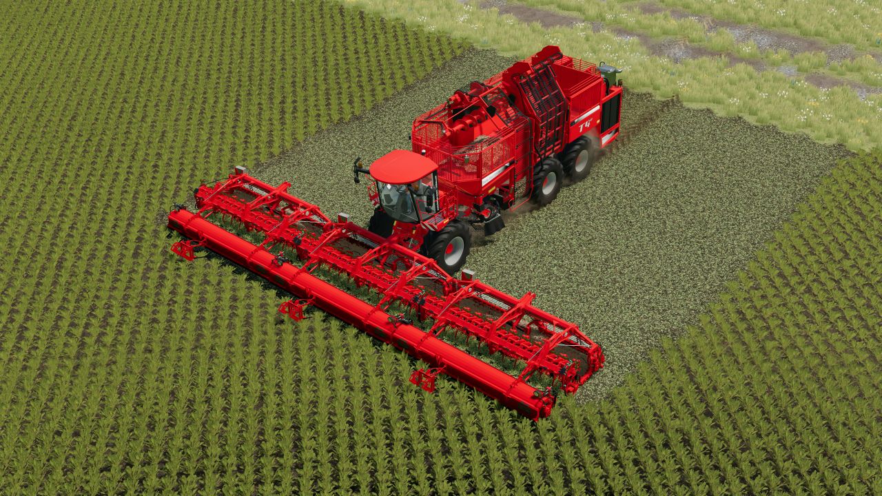 Holmer Rüben verpacken Mit Harvester 16m