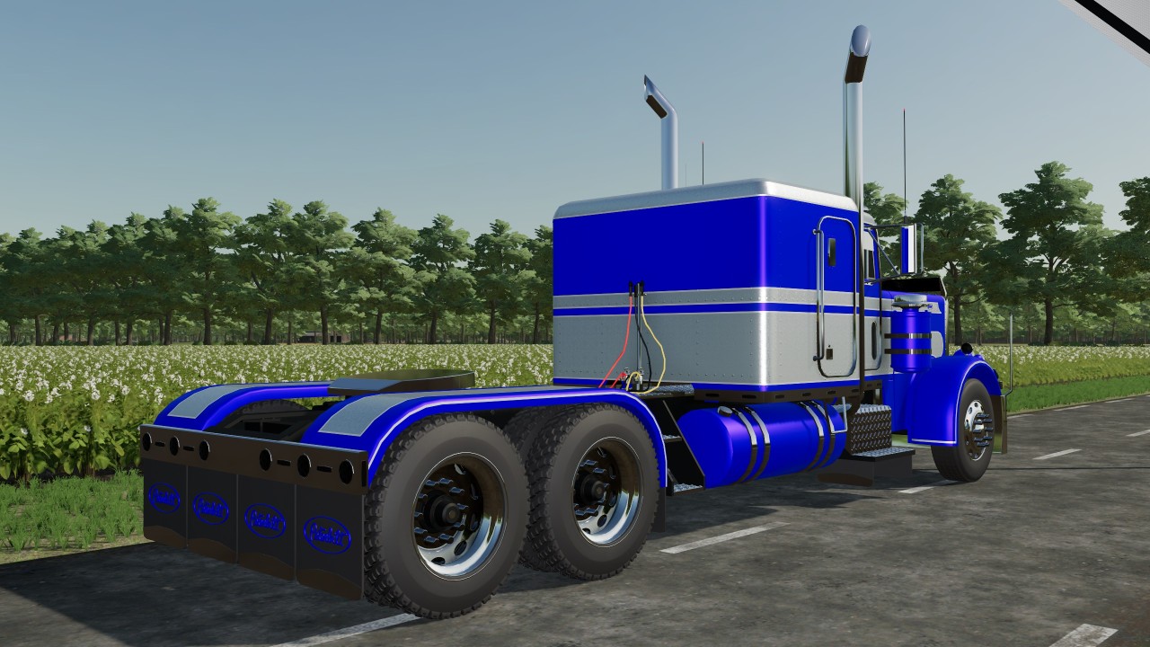 Peterbilt 359 Custom