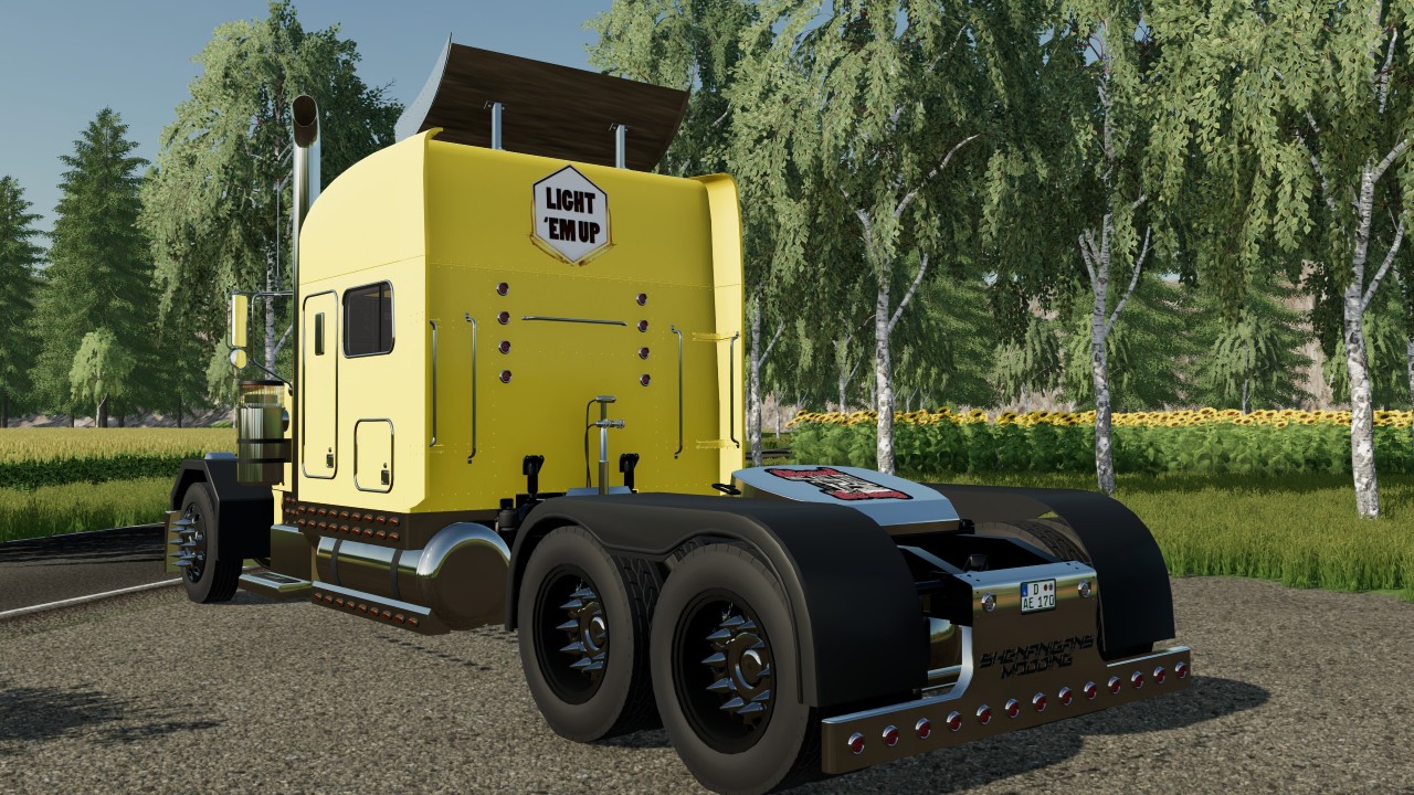 Peterbilt 379 2005 