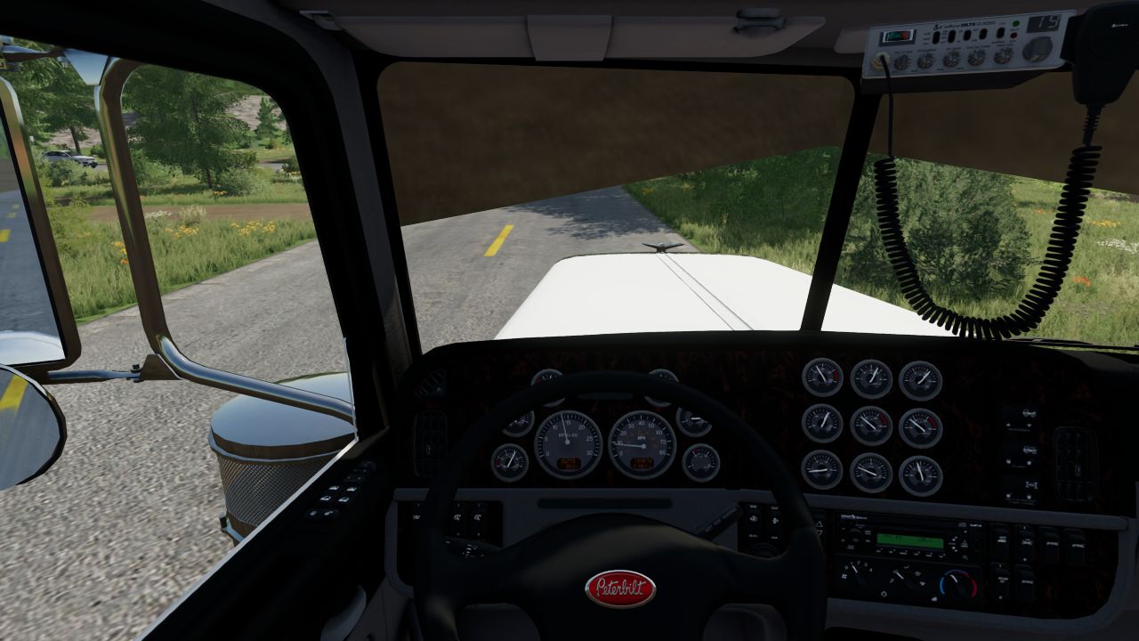 Peterbilt 389 DSLM