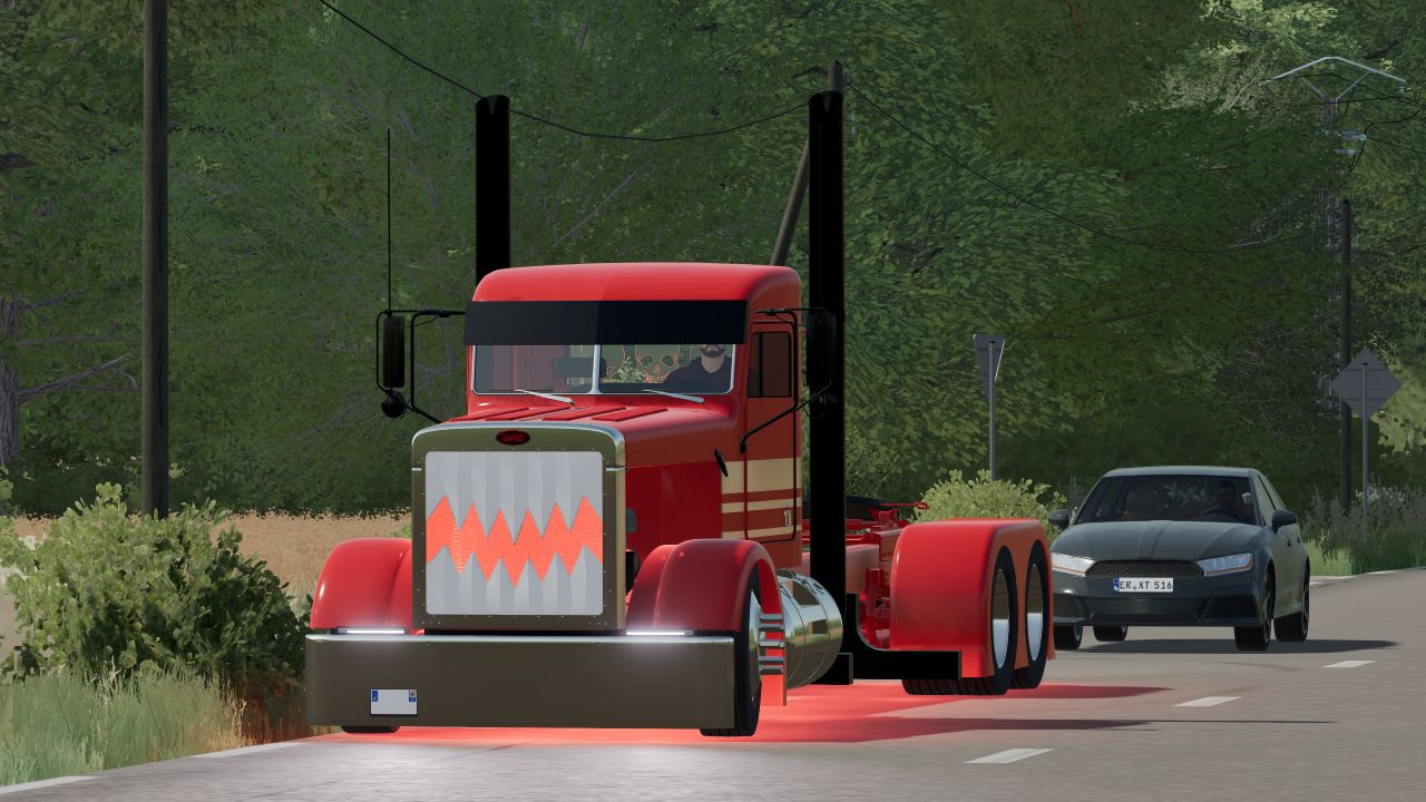 Peterbilt Custom