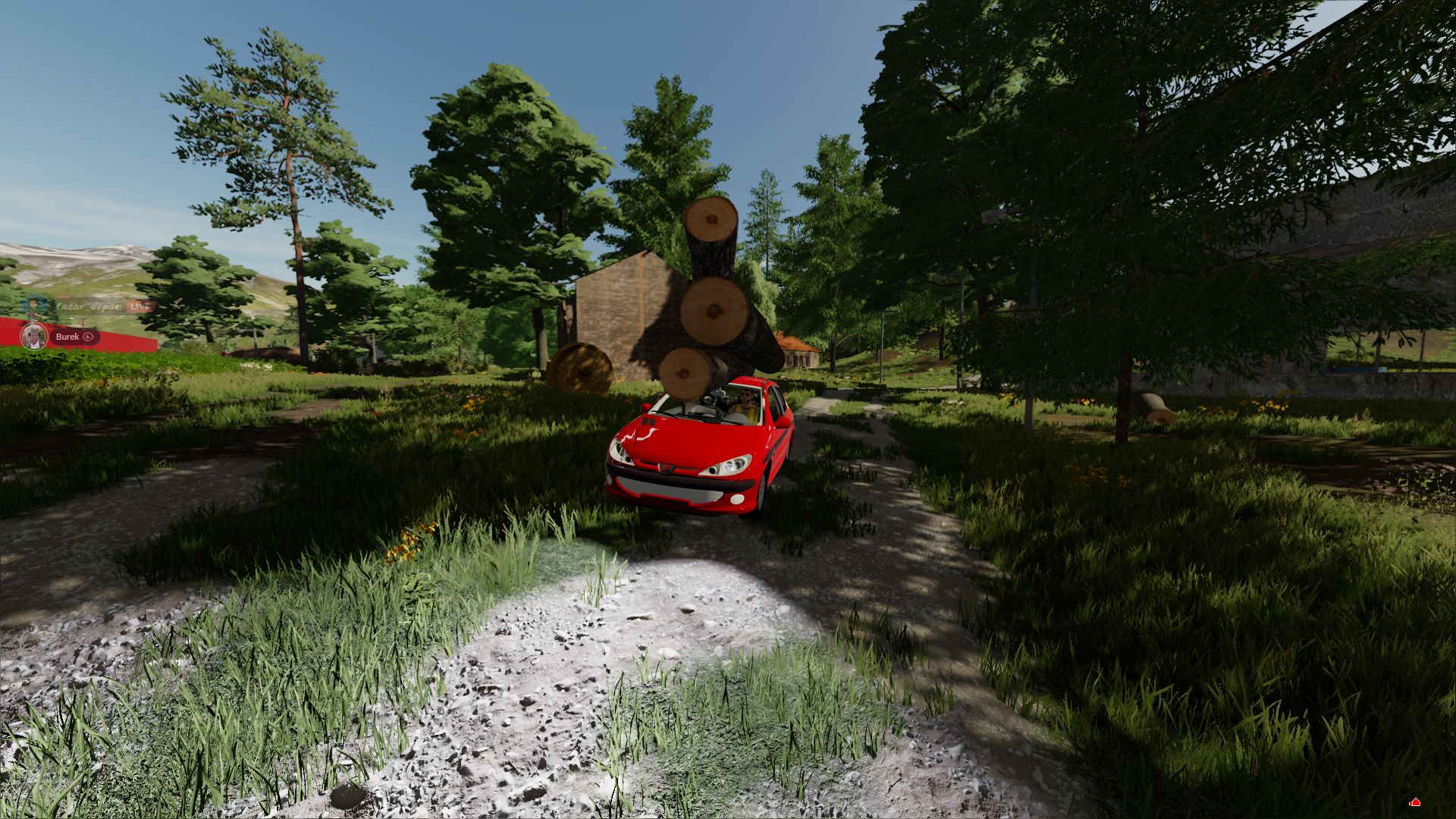 Peugeot 206