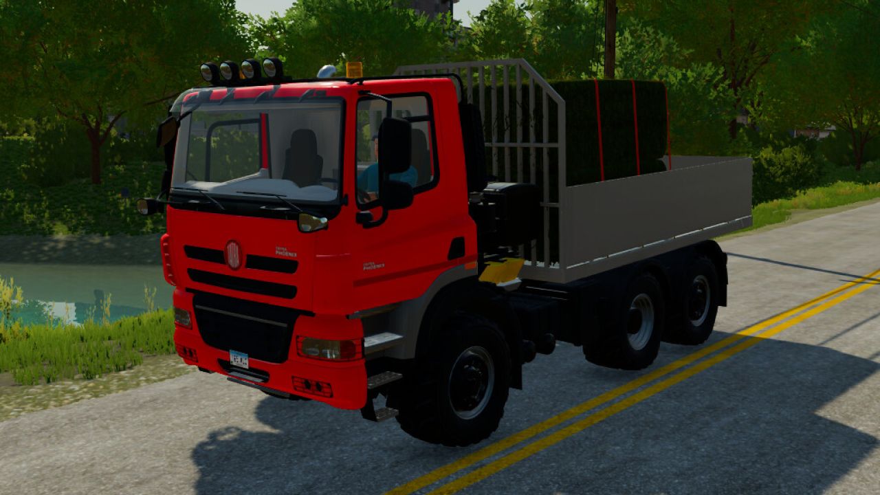 Phoenix Pritsche/Salzwagen