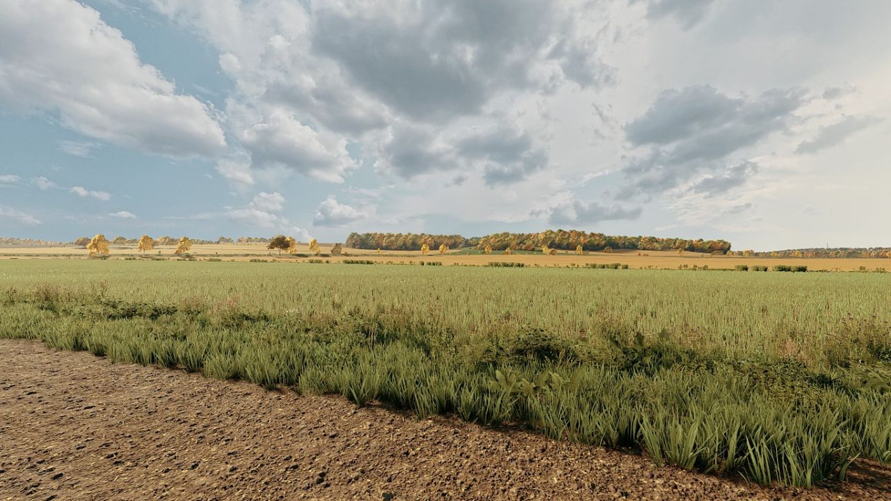 Photorealistic Environment