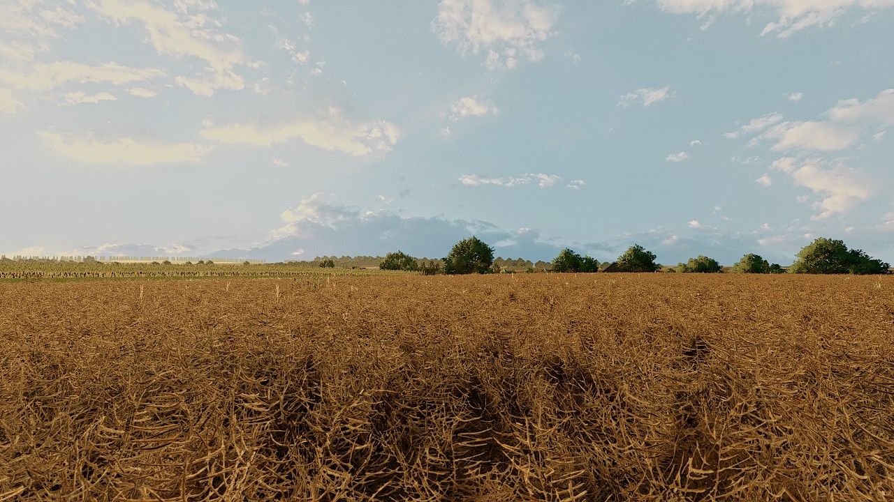 Photorealistic Environment