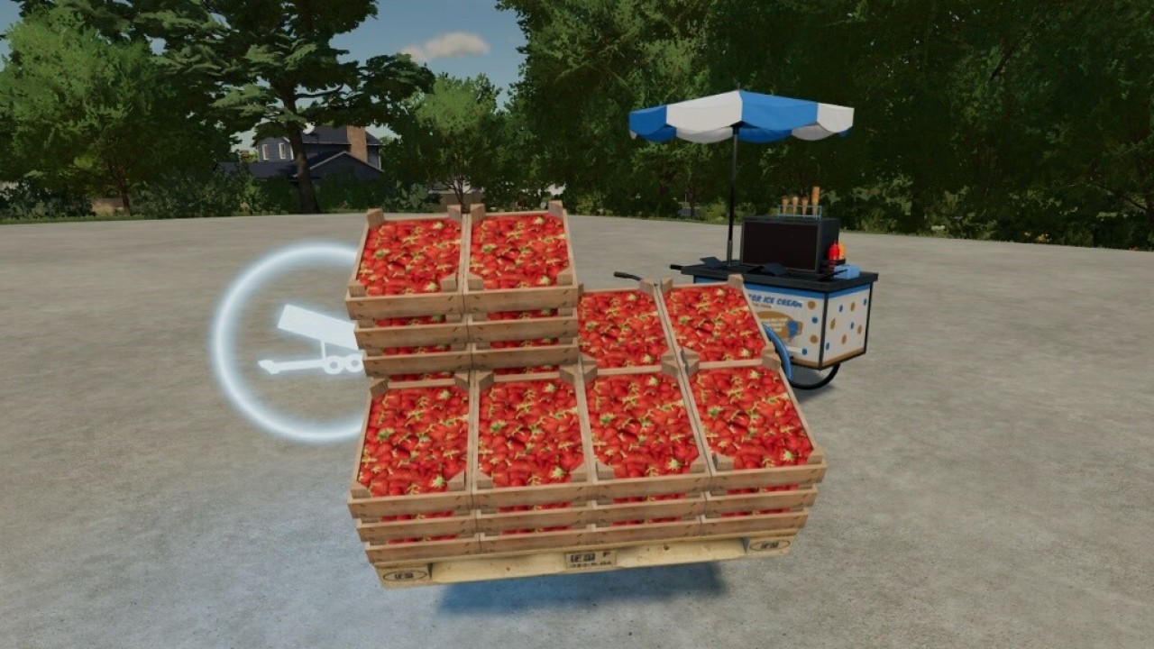 Picnic Decoration Pack