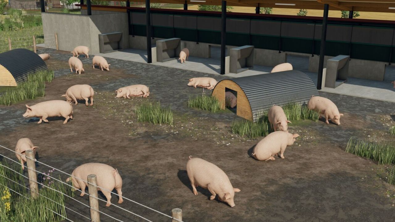 Abri pour porcs