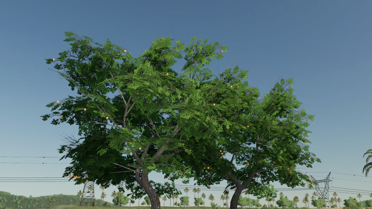 Placeable orange tree