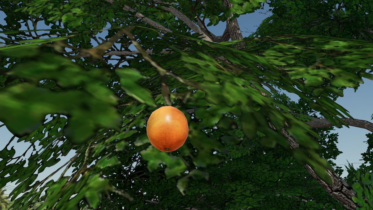 Placeable orange tree