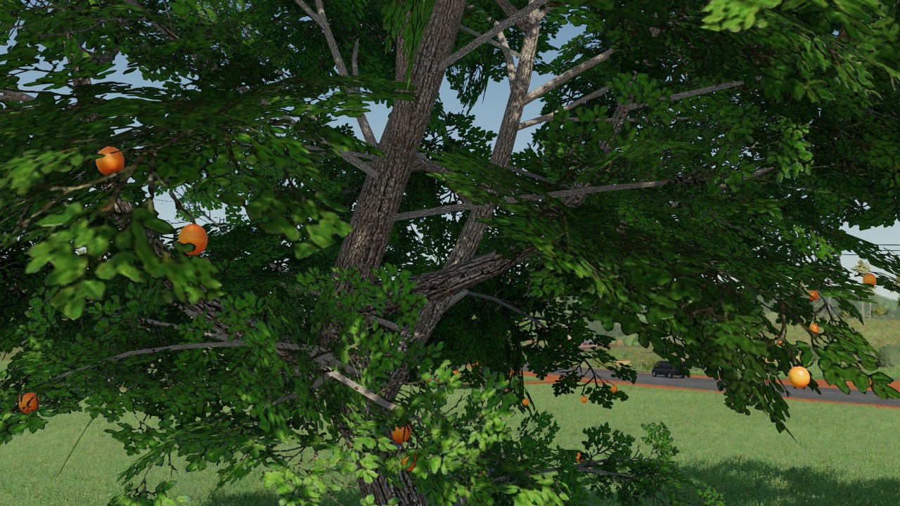 Placeable orange tree
