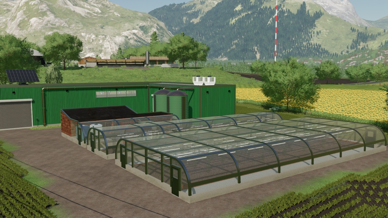 Power plant and greenhouse