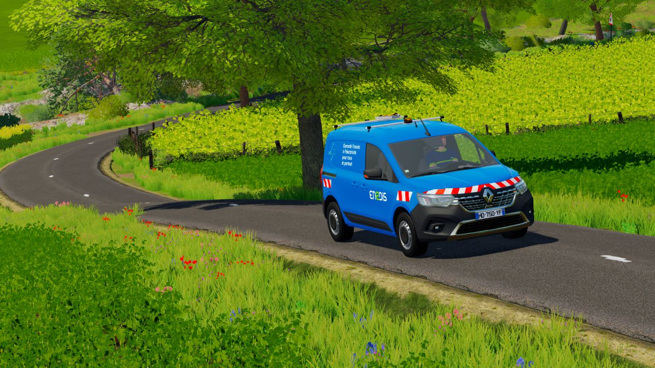 Renault Kangoo III - Enedis