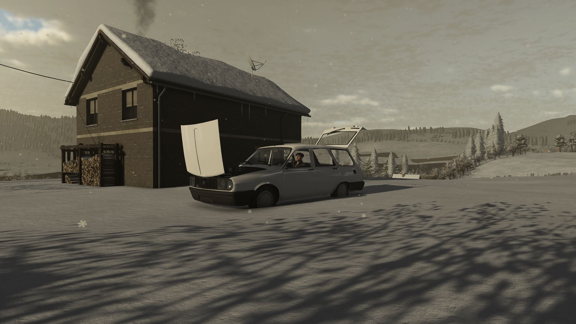 Renault Toros 12 STW