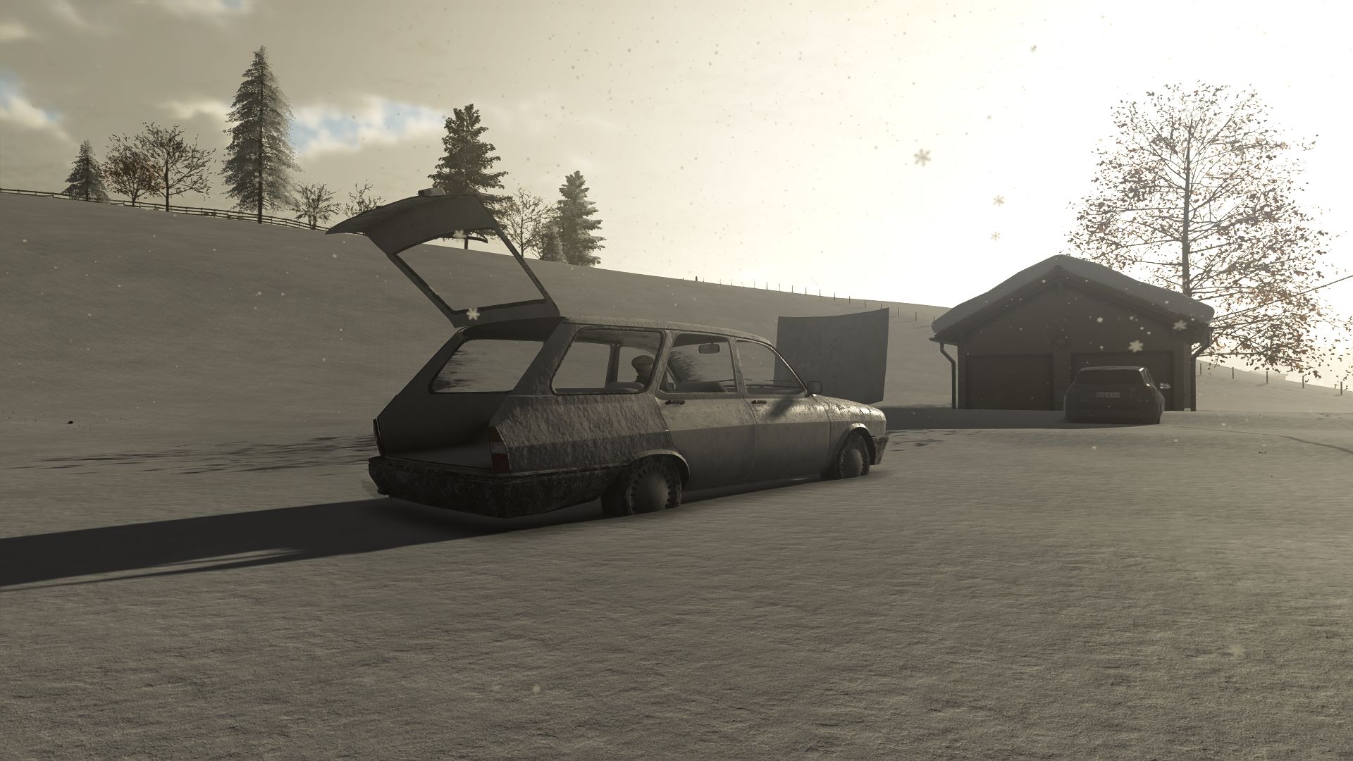 Renault Toros 12 STW