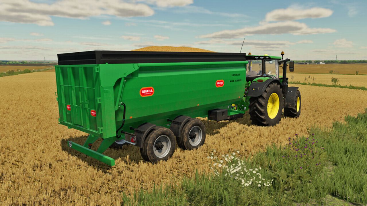 Rigual LB65T