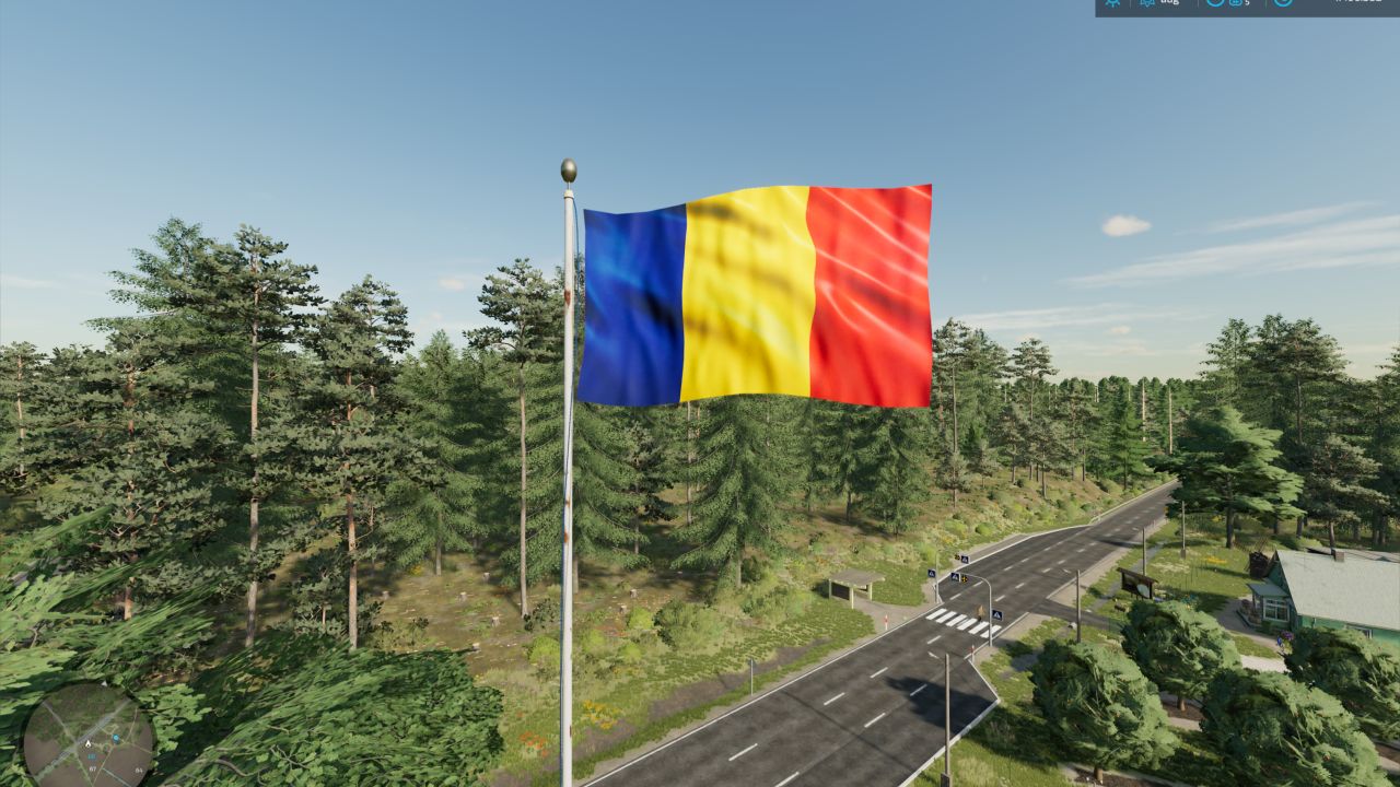 Romanian Flag