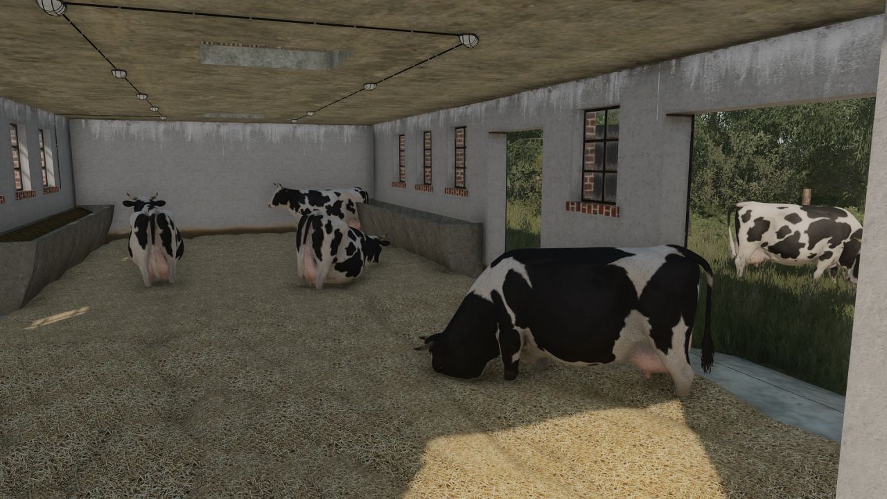 Cobertizo con vacas y garaje.