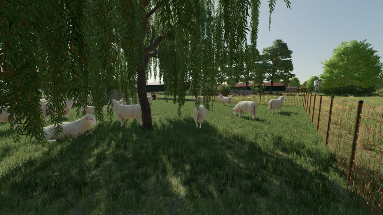 Celeiro de ovelhas
