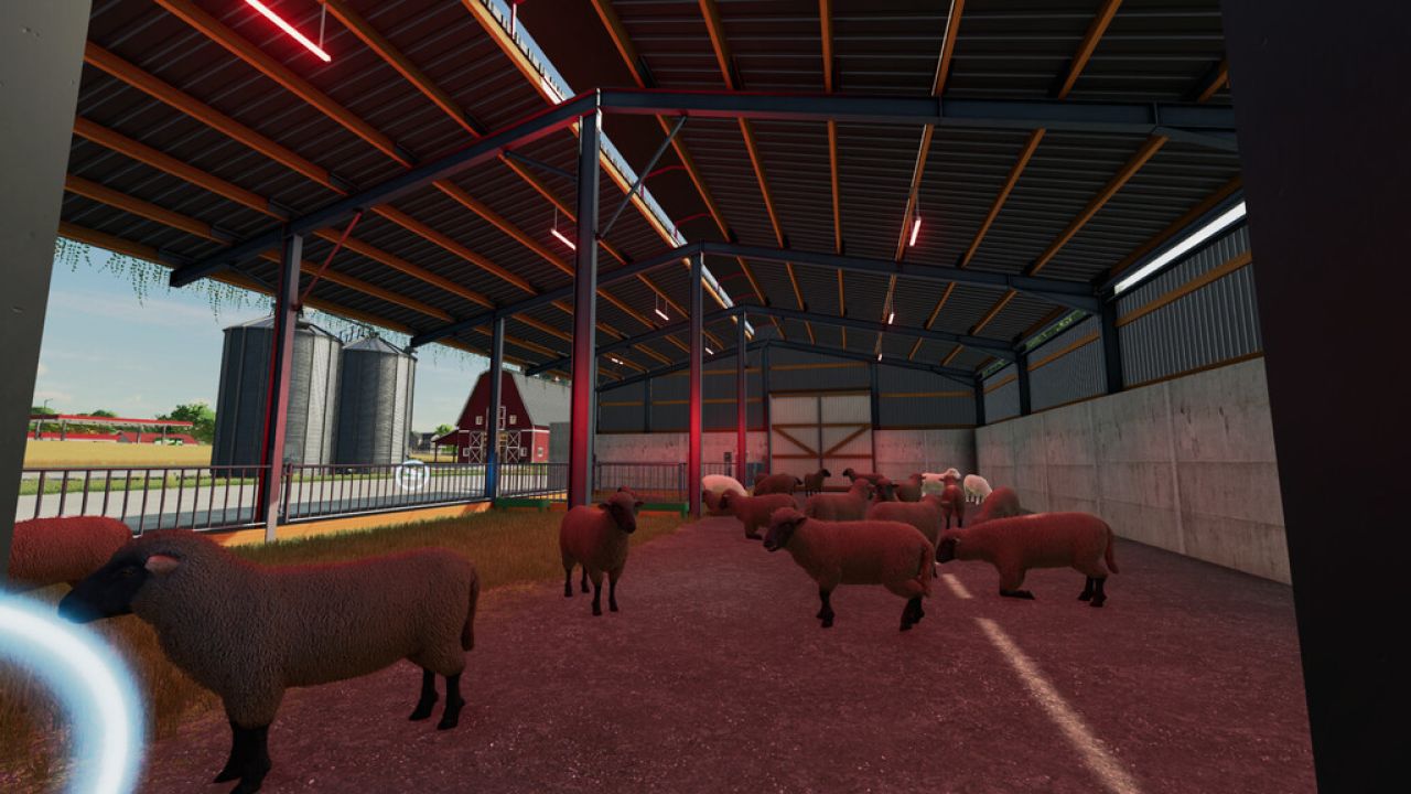 Sheep Barn