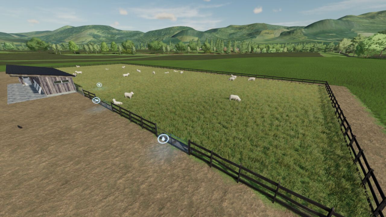 Sheep Pasture