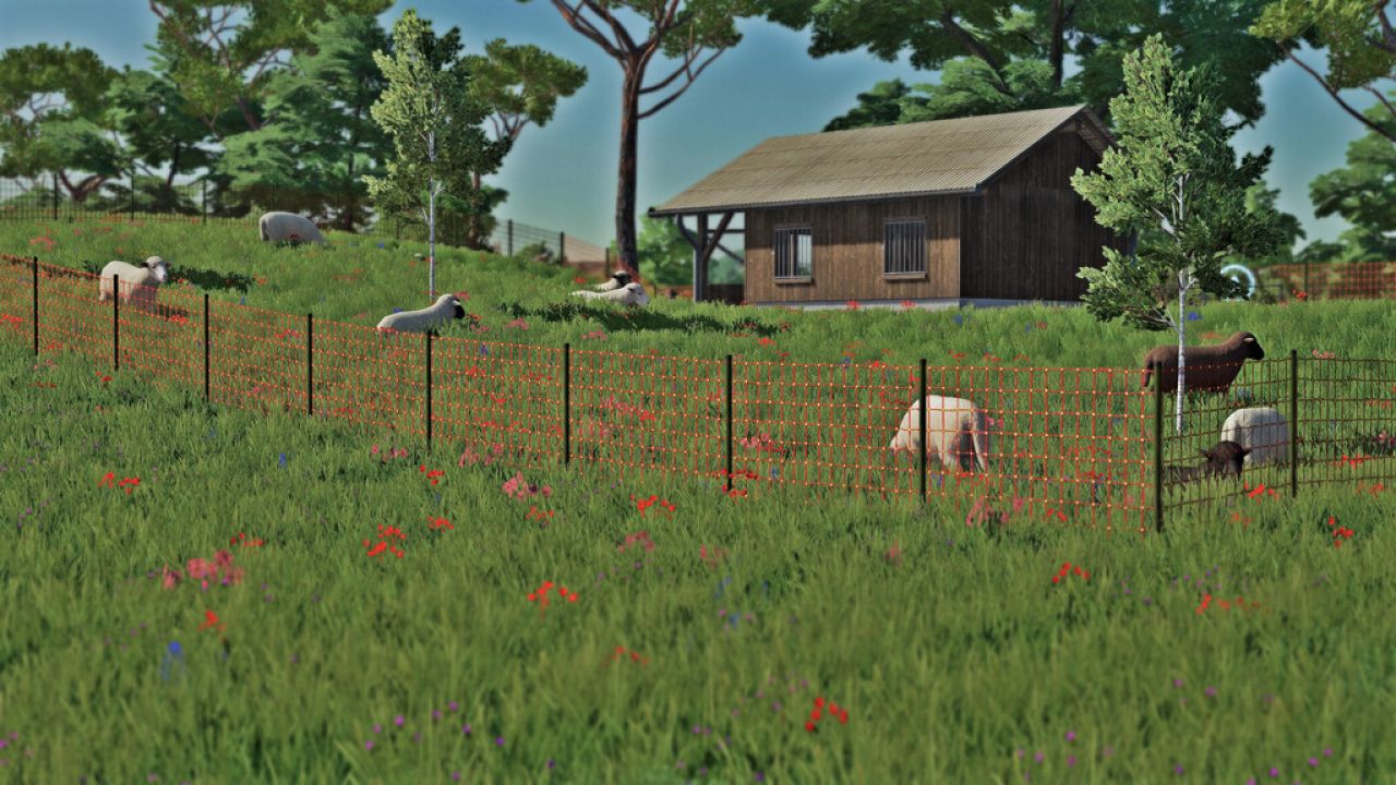 Sheep Pasture