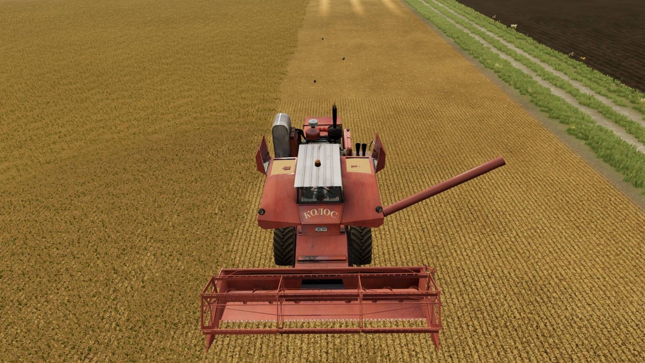 SK-6 Colosso